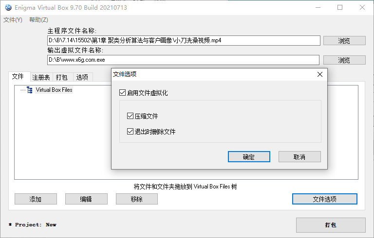 Enigma Virtual Box v10.50汉化版