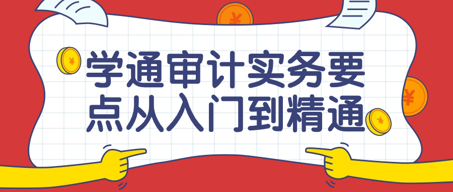 学通审计实务要点从入门到精通课