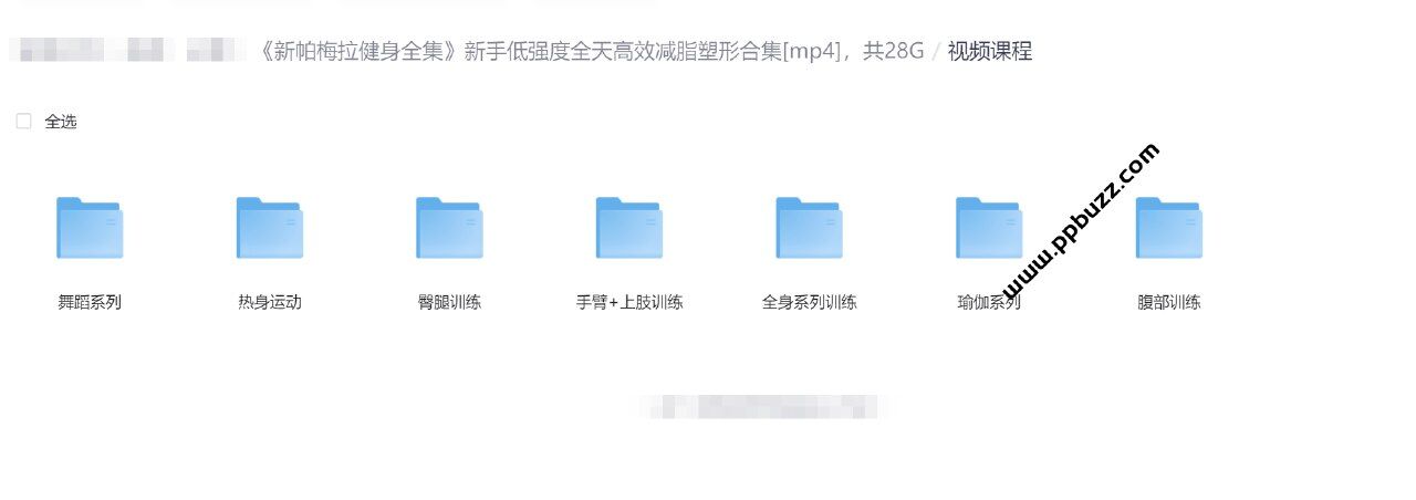 《新帕梅拉健身全集》新手低强度全天高效减脂塑形合集，共28G