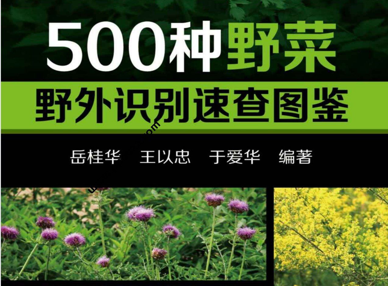 500种野菜野外识别速查图鉴