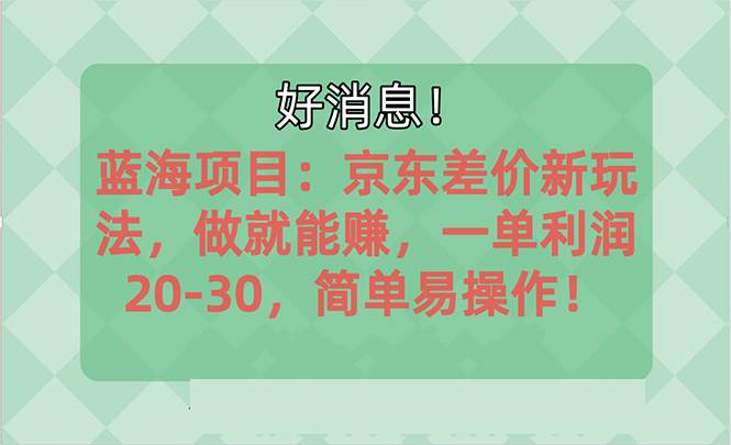 越早知道越能赚到钱的蓝海项目：京东大平台操作，一单利润20-30，简单&#8230;